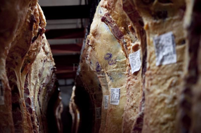La industria frigoriacutefica deberaacute informar semanalmente el precio de la carne vacuna