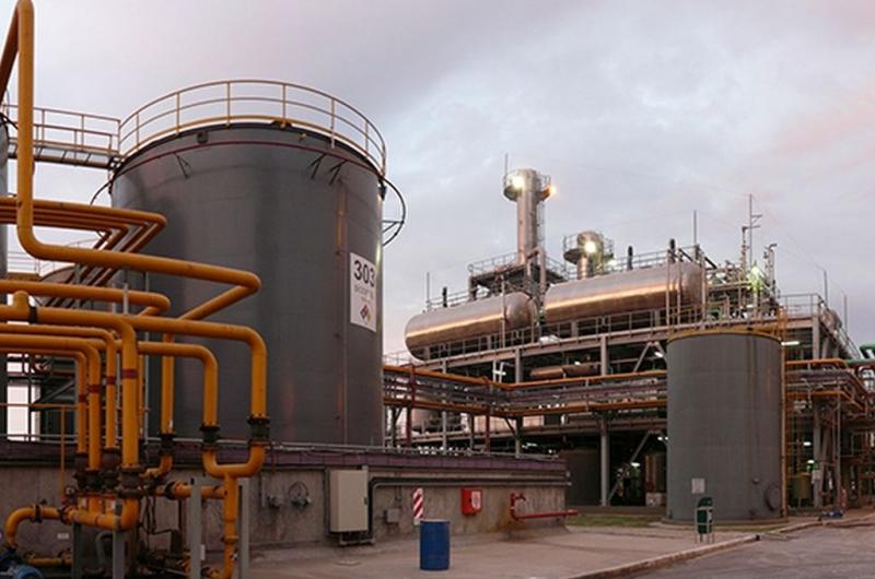 Petroleras versus bioenergeacuteticas- la mirada del Secretario de Industria de Santa Fe