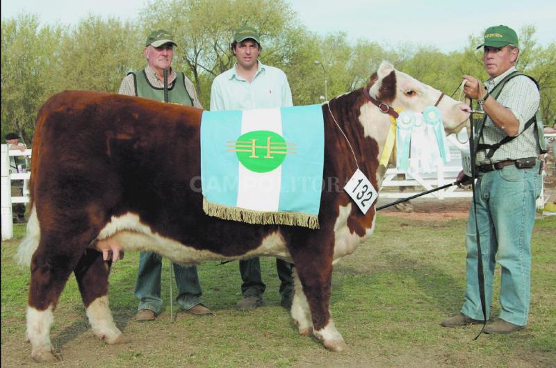 Ya se pueden exportar reproductores bovinos a Chile