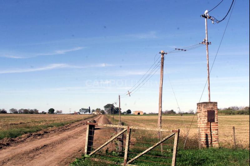 Anuncian maacutes de 100 millones para electrificacioacuten rural en Las Colonias