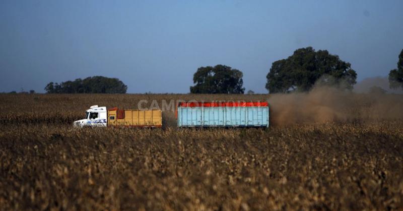 Reglamentan aumento para el transporte de cargas de cereales y oleaginosas