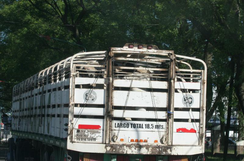 Transporte de hacienda- nuevas exigencias que no se ajustan a la realidad del paiacutes