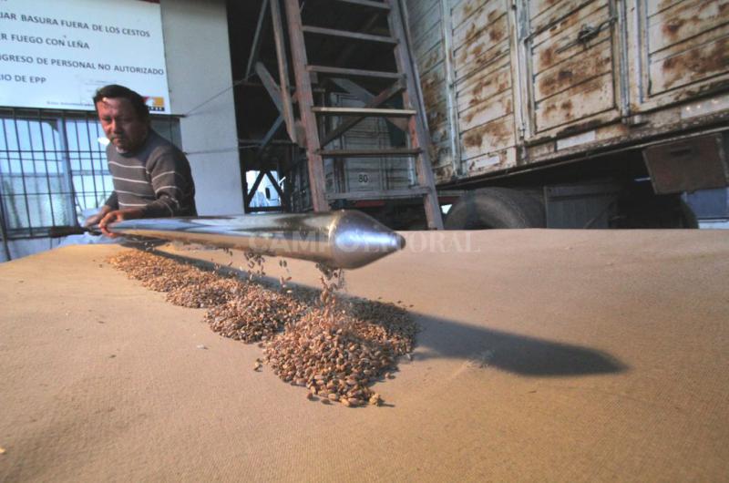 La exportacioacuten de trigo iguala la facturacioacuten del antildeo pasado con 2M de toneladas menos