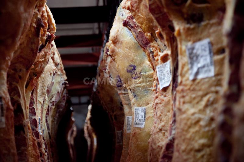 Suspenden a 15 exportadores de carne 