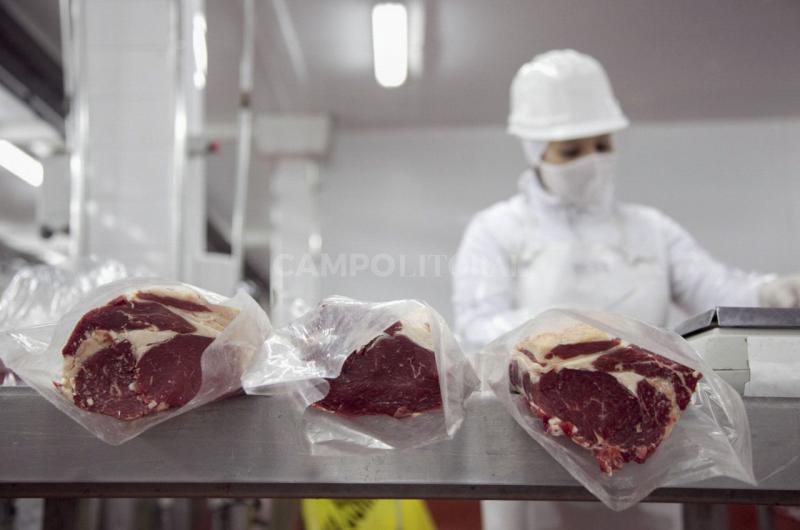 La exportacioacuten de carne bovina genera 100000 puestos de trabajo