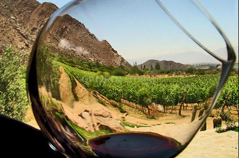 La industria del vino pide al gobierno que le quiten la retenciones