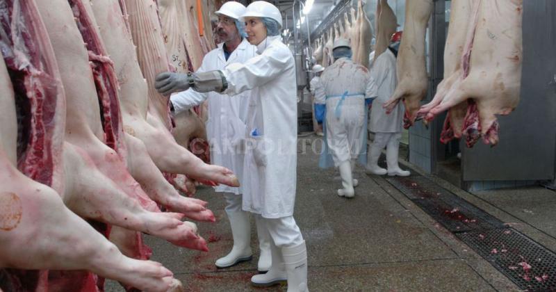 Las exportaciones porcinas se multiplicaron maacutes de 10 veces