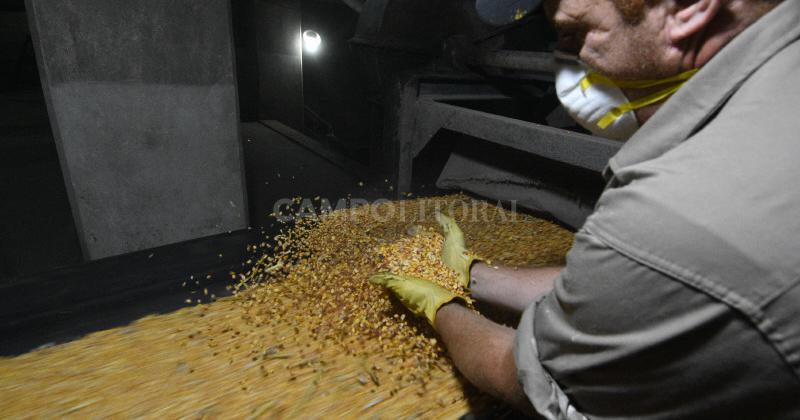 Se exportaron maacutes de 5 mil toneladas de granos con certificacioacuten electroacutenica