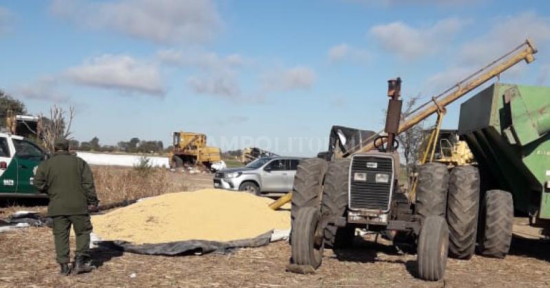 Recuperan en Villa Minetti 8 toneladas de soja robadas