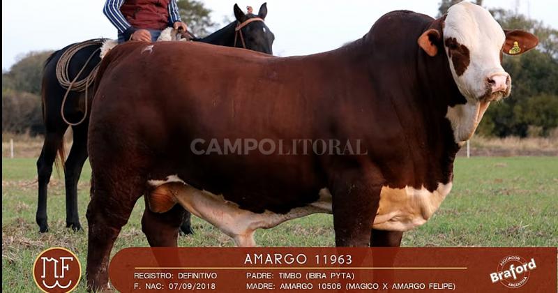 Un toro de El Amargo se pagoacute 24 millones