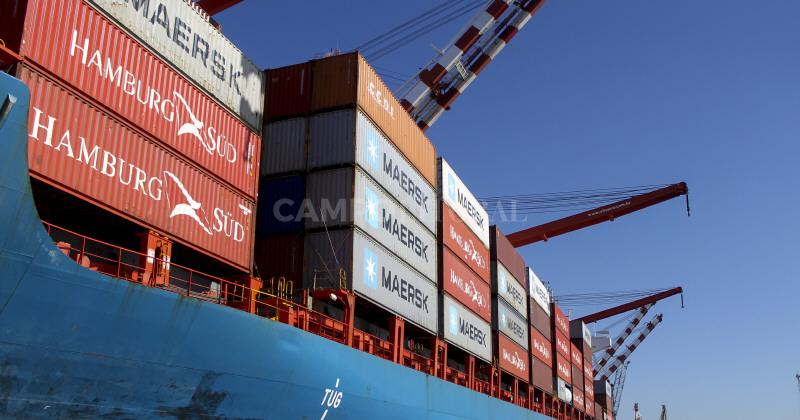 La falta de contenedores afectoacute la exportacioacuten de laacutecteos argentina