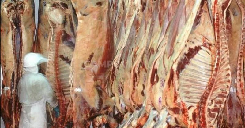 Cayeron 45-en-porciento- las exportaciones de carne en junio
