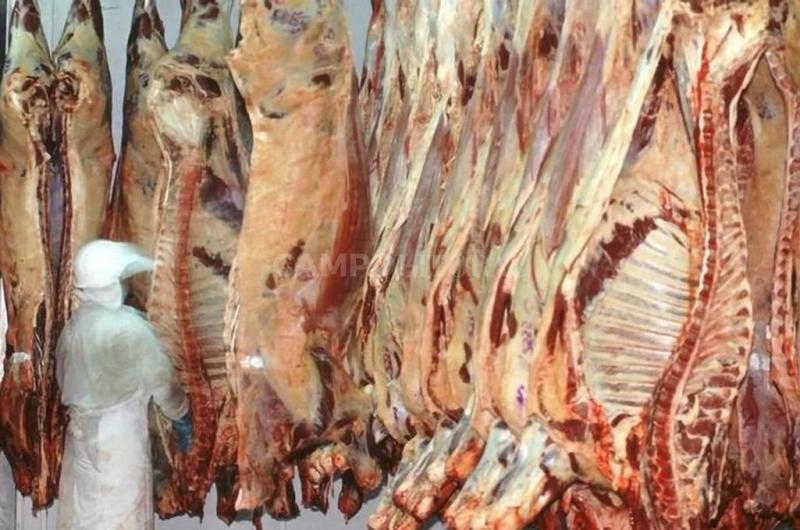 Cayeron 45-en-porciento- las exportaciones de carne en junio