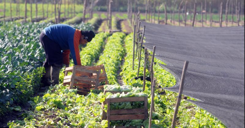 Los trabajadores rurales lograron casi 49-en-porciento- de aumento salarial