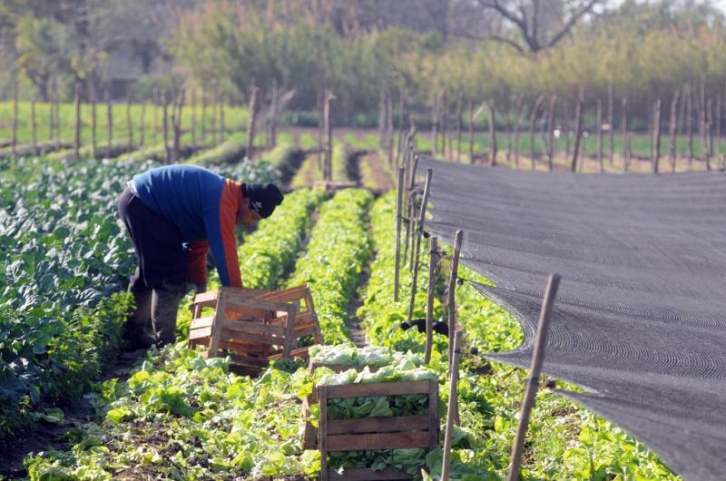 Los trabajadores rurales lograron casi 49-en-porciento- de aumento salarial
