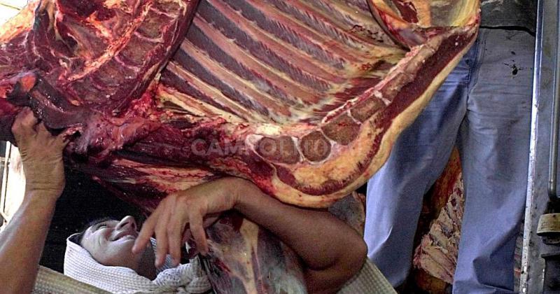 Carne- falta hacienda pese al cepo exportador pero la carne no sube iquestpor queacute