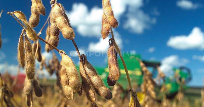 Propondraacuten estiacutemulos sin costo fiscal para que vuelva a crecer la produccioacuten de soja