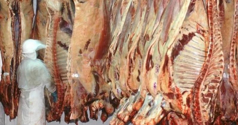 Cae la participacioacuten de China en las exportaciones de carne