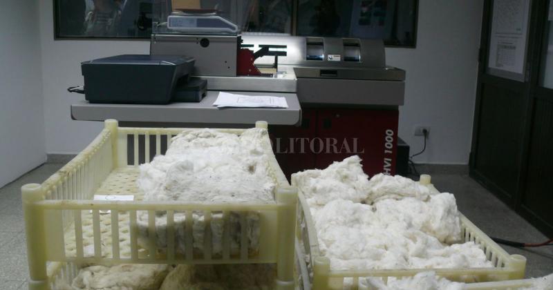 Maacutexima certificacioacuten mundial para un laboratorio santafesino de anaacutelisis de fibra de algodoacuten