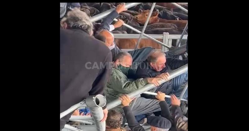 Video- asiacute se desplomoacute una pasarela en el Mercado Agroganadero de Cantildeuelas