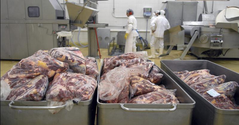 Exportaciones de carne- 2021 el antildeo perdido