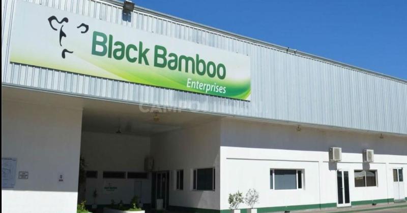 Energiacutea y exportaciones piedras en el zapato de Black Bamboo