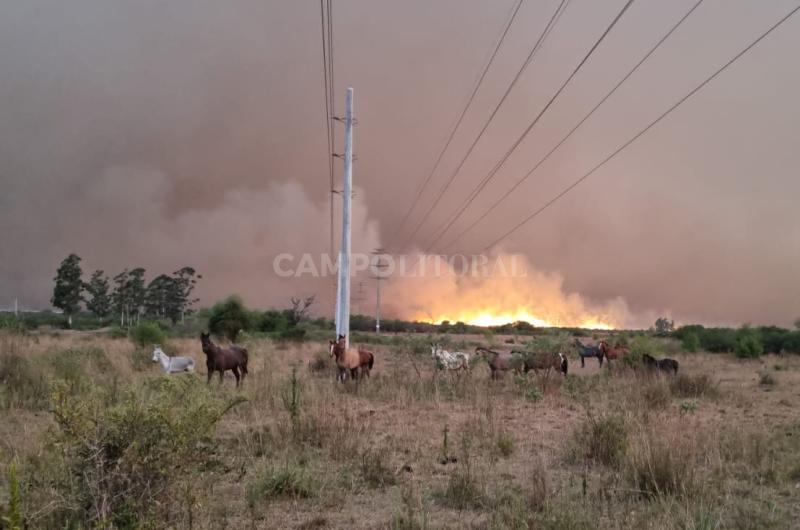 Incendios- graves peacuterdidas en una estacioacuten de INTA