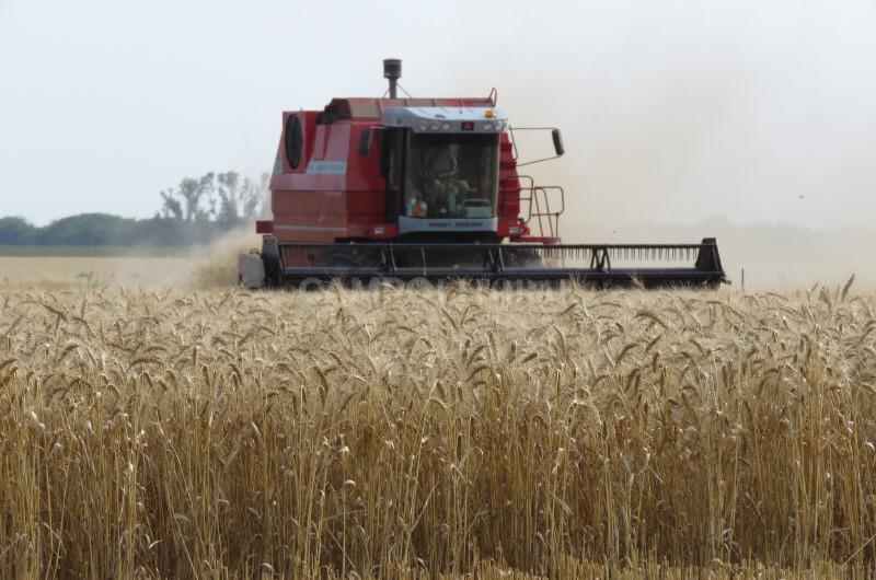 El gobierno oficializoacute la creacioacuten de un fideicomiso para trigo