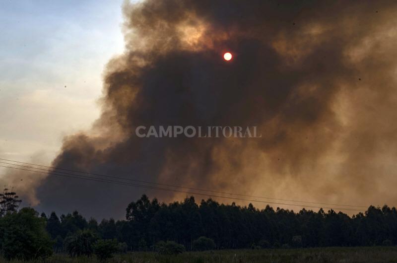Instituciones de ensentildeanza agropecuaria advierten sobre incendios forestales
