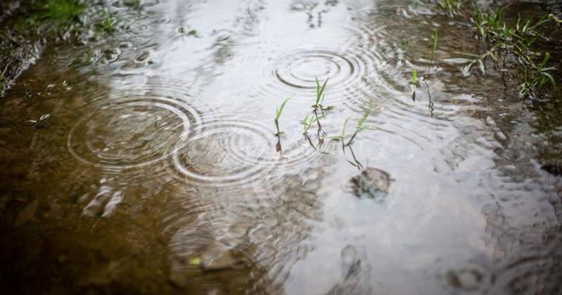 Pronostican lluvias hasta el proacuteximo mieacutercoles