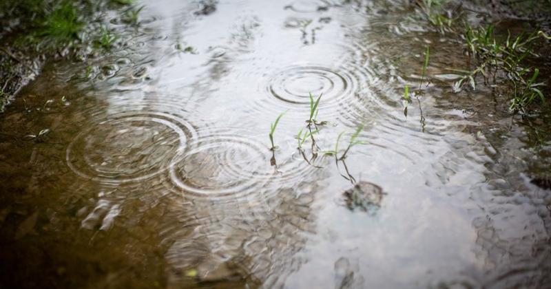 En solo 10 diacuteas se alcanzoacute el promedio de lluvias de marzo