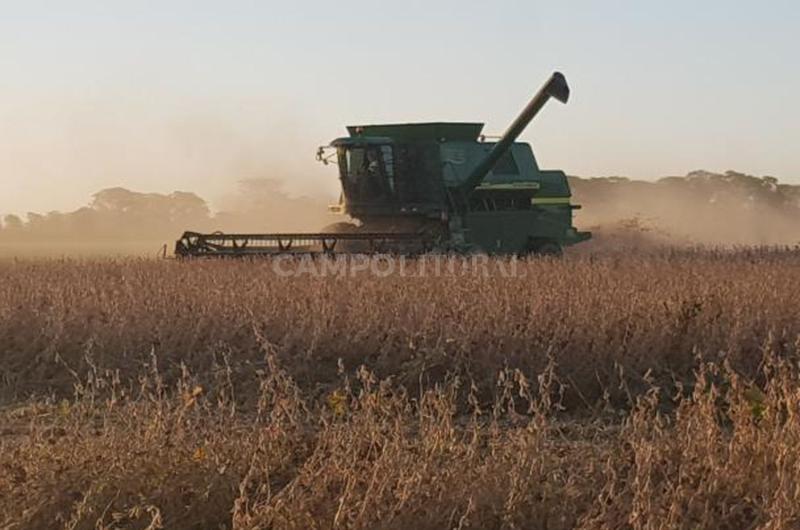 La cosecha de soja llegoacute al 75-en-porciento- de los lotes 