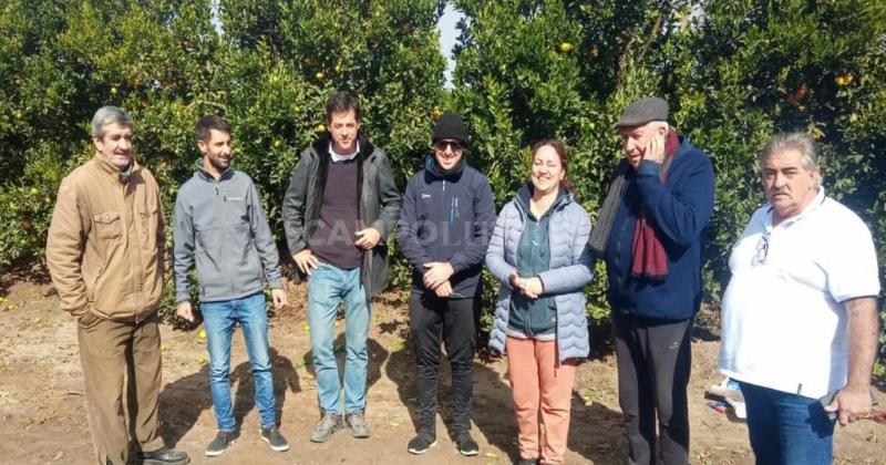 Apuestan a transformar residuos aviacutecolas y forestales en biofertilizantes