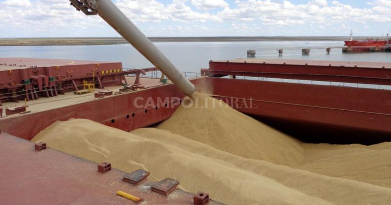 Estiman exportaciones reacutecord de trigo y cebada por US 6500 millones
