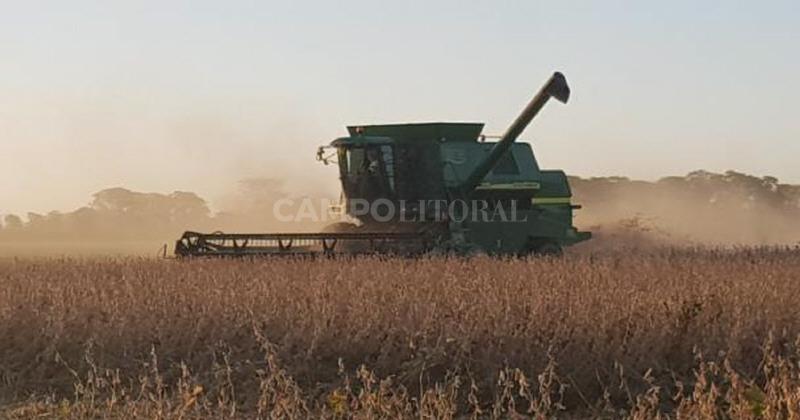 Finalizoacute la cosecha de soja tardiacutea en el centro norte de Santa Fe 