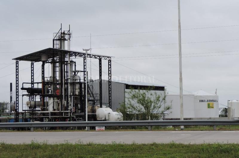 Biodiesel- Pymes lamentan no tener prioridad para abastecer a las petroleras