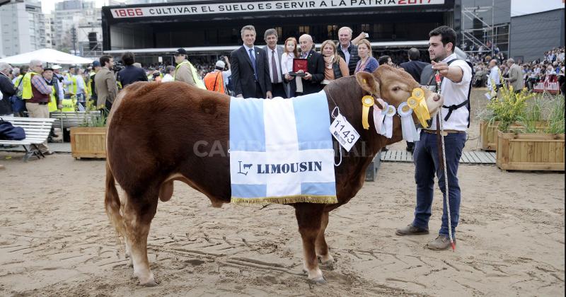 Carne con acento franceacutes