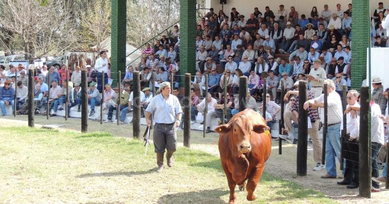 Vera anticipa su Expo Rural 