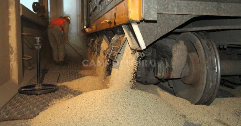 Por el doacutelar especial ya se vendieron casi 7 millones de toneladas de soja
