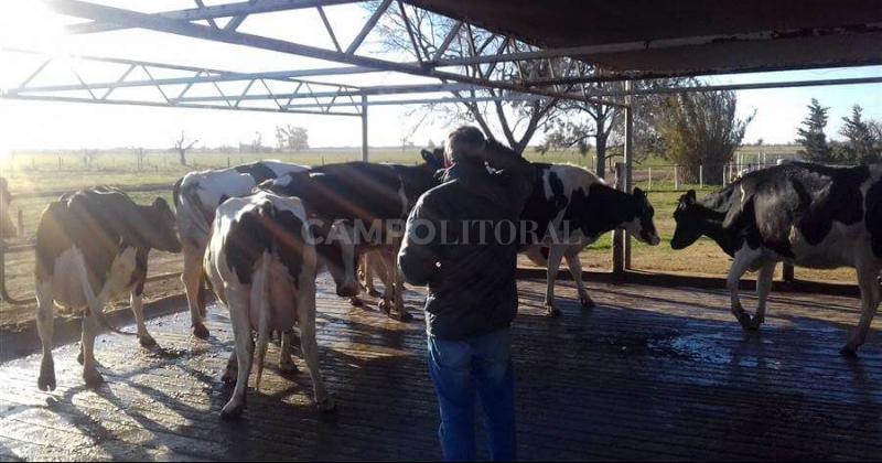 Geneacutetica en accioacuten- los ganadores de la 5deg competencia de Vacas a Campo
