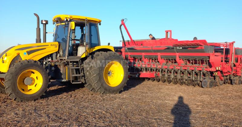 Manejo agronoacutemico para apaciguar la seca 