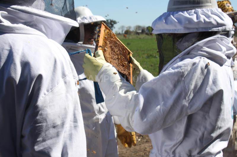 Creacuteditos a pequentildeos apicultores 