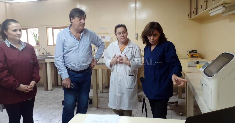Gripe Aviar- se analizaraacuten en Santa Fe las muestras del centro norte argentino