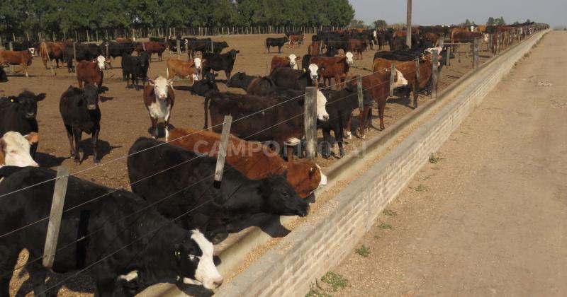 Chasco- de los 15000 millones para socorrer ganaderos soacutelo se usaron 88