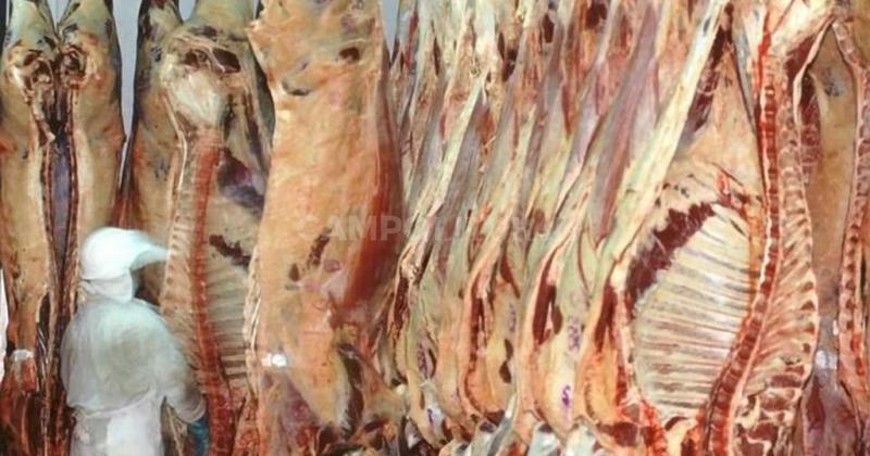 Confusa situacioacuten sobre cierre de exportaciones de carne y laacutecteos