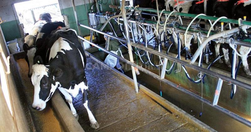 Causa comuacuten entre productores e industrias para quitar DEX a los laacutecteos y un doacutelar leche que impidan el colapso de la cadena