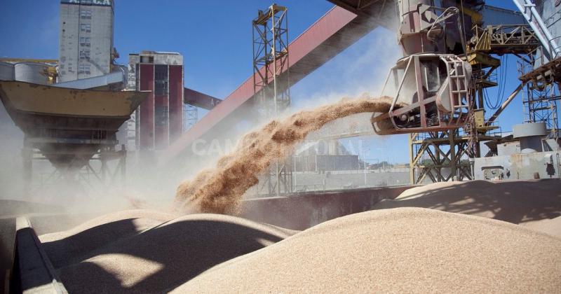 Se desacelera la comercializacioacuten de soja