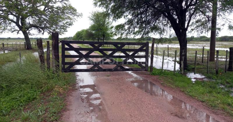 En el campo la lluvia le ganoacute a la poliacutetica pero#133