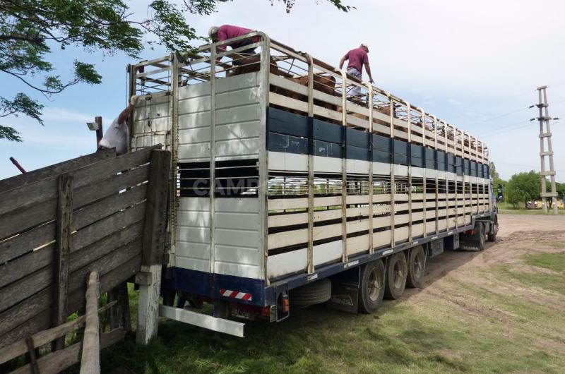 Emergencia por Sequiacutea- media sancioacuten para diferir impuestos al transporte de cargas del agro
