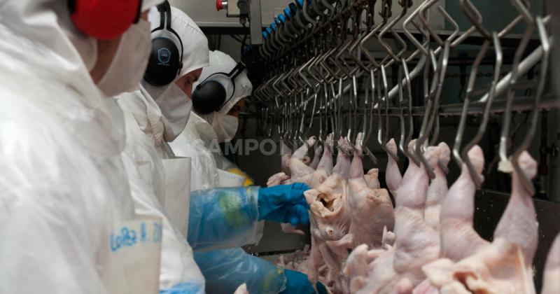 Japoacuten levantoacute las restricciones a la avicultura argentina 